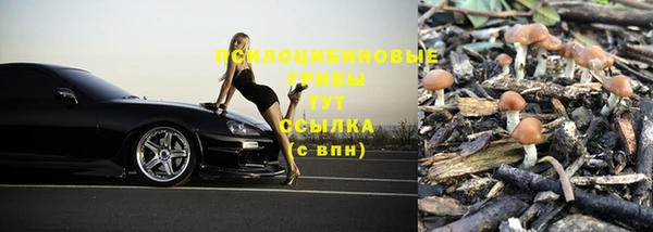 синтетический гашиш Елабуга