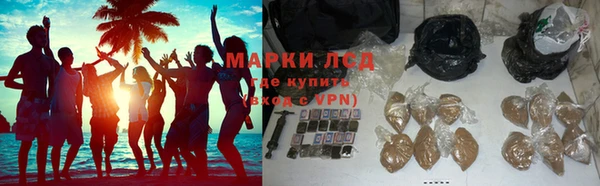 спиды Ельня