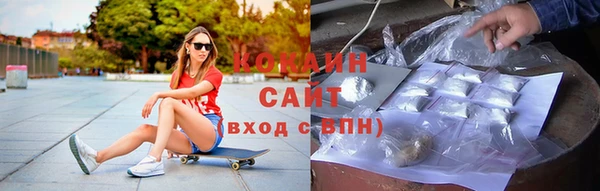 спиды Ельня