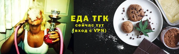 спиды Ельня