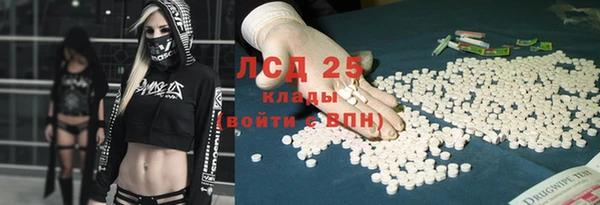 спиды Ельня