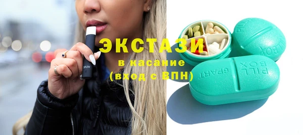 спиды Ельня