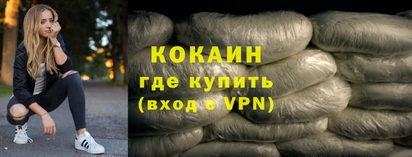 спиды Ельня