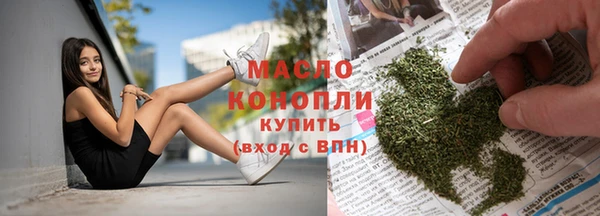 спиды Ельня