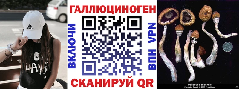 гидра ссылка  Псков  маркетплейс состав  наркота  Псилоцибиновые грибы Magic Shrooms 